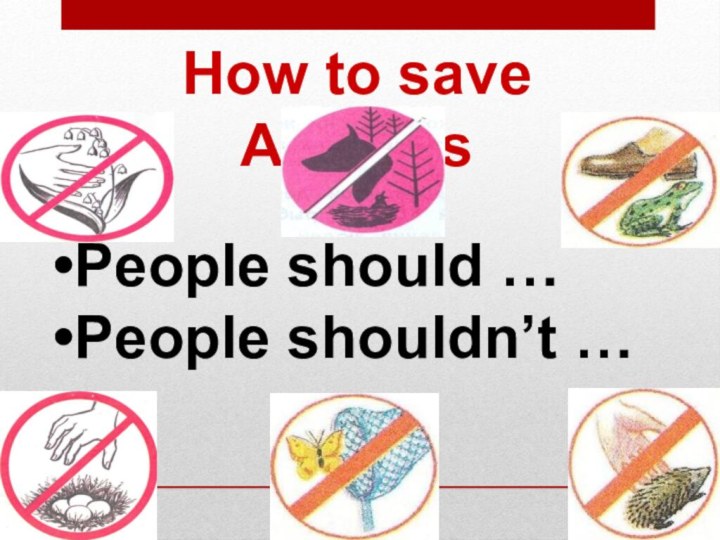 How to save AnimalsPeople should …People shouldn’t …