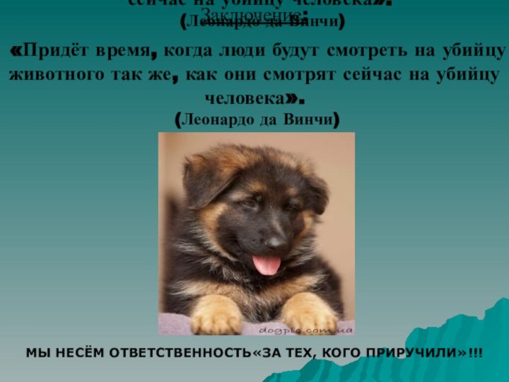 «Придёт время, когда люди будут смотреть на убийцу животного так же, как