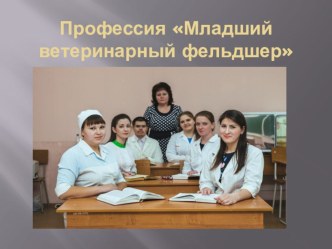 Профессия Младший ветеринарный фельдшер