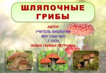Презентация урока-исследования по биологии Шляпочные грибы