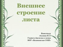 Презентация к уроку Внешнее строение листа