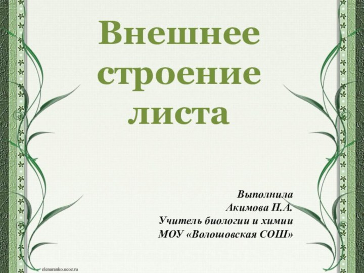 Внешнее строение листаВыполнилаАкимова Н.А.Учитель биологии и химииМОУ «Волошовская СОШ»