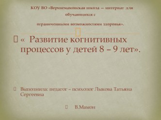 Занятие по психокоррекции. Развивающие занятия когнитивной сферы.