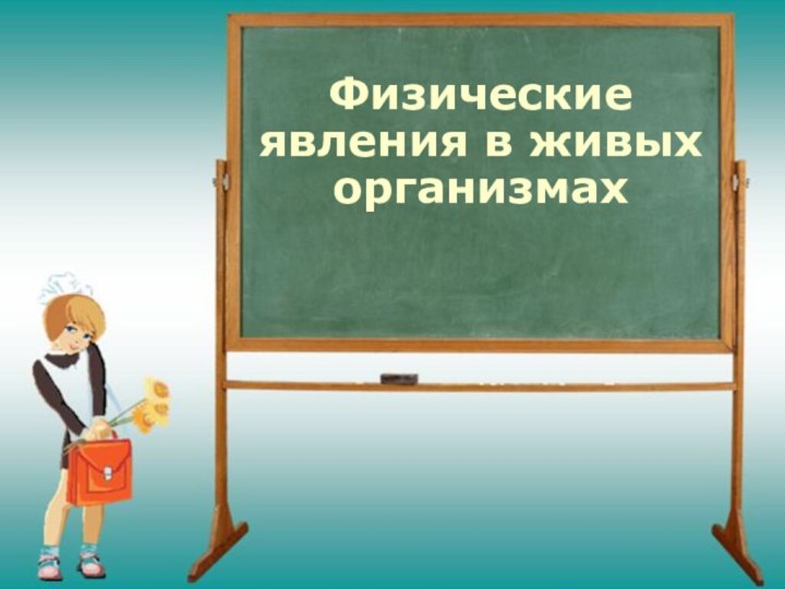 Физические явления в живых организмах