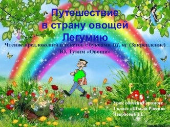 Урок литературного чтения (обучения грамоте) в 1 классе УМК Школа России