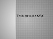 Презентация по теме: Строение зубов