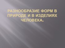 : Разнообразие форм в природе и в изделиях человека