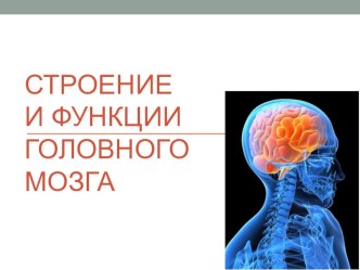 Презентация по биологии на тему Строение и функции головного мозга ( 9 класс)