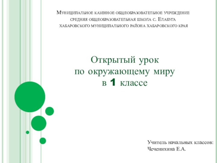 Муниципальное казенное общеобразовательное учреждение  средняя общеобразовательная школа с. Елабуга  хабаровского