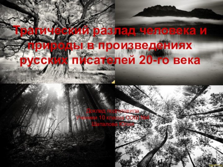 Трагический разлад человека и природы в произведениях русских писателей 20-го векаДоклад подготовилаУченики