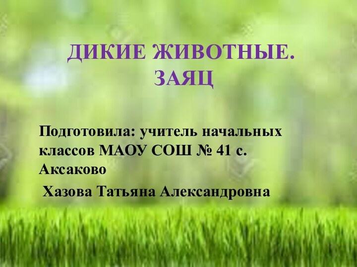 ДИКИЕ ЖИВОТНЫЕ.  ЗАЯЦПодготовила: учитель начальных классов МАОУ СОШ № 41 с. Аксаково Хазова Татьяна Александровна