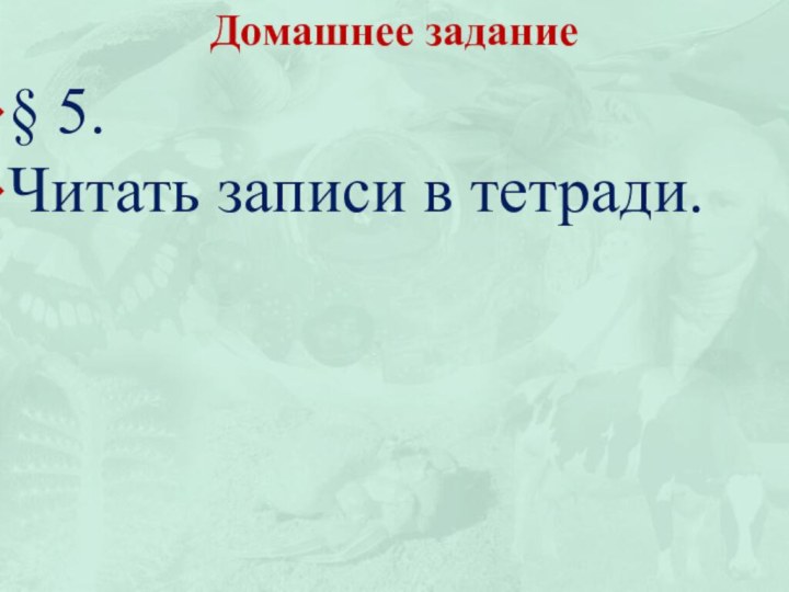 § 5.Читать записи в тетради.Домашнее задание