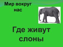Урок - Презентация Где живут слоны?