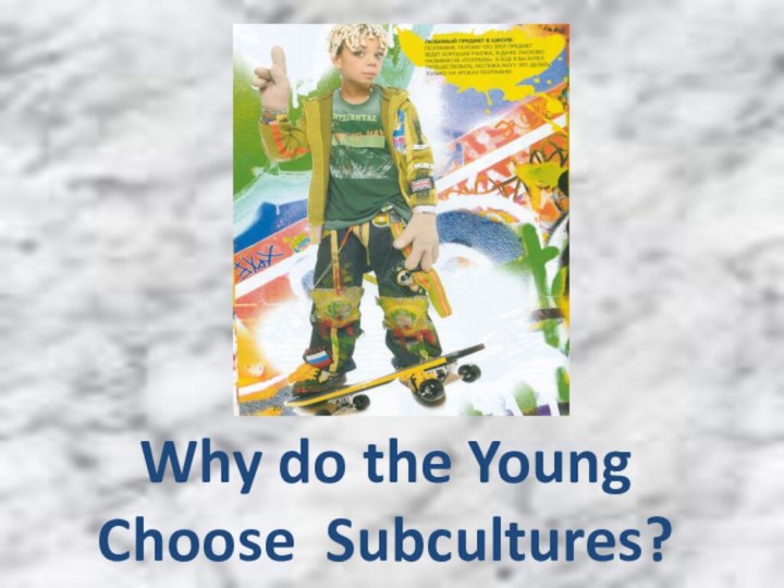 Why do the Young   Choose Subcultures?