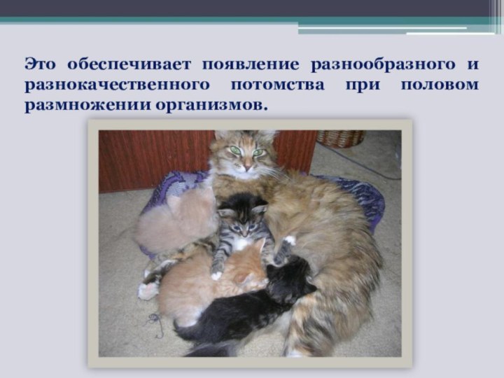 Это обеспечивает появление разнообразного и разнокачественного потомства при половом размножении организмов.