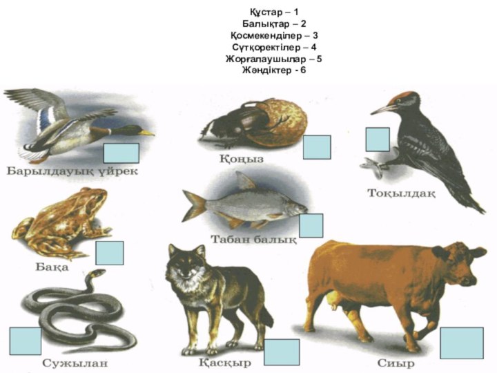 Құстар – 1 Балықтар – 2 Қосмекенділер – 3 Сүтқоректілер – 4