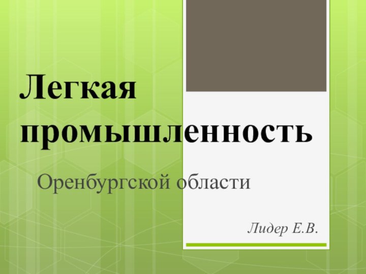 Легкая промышленностьОренбургской областиЛидер Е.В.