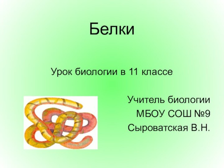 Белки Урок биологии в 11 классеУчитель биологииМБОУ СОШ №9 Сыроватская В.Н.