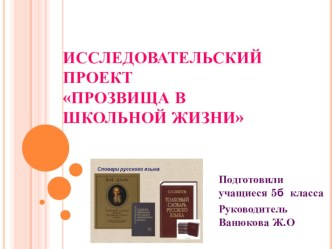 Презентация по русскому языку  Фразеологизмы (5 класс)