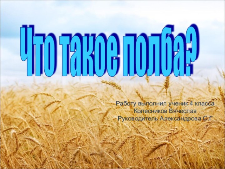 Что такое полба? Работу выполнил ученик 4 класса Колесников ВячеславРуководитель Александрова С.Г