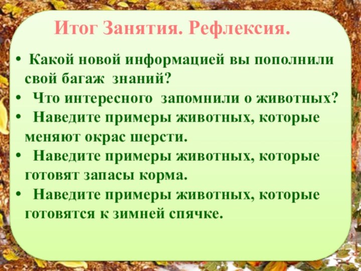 Итог Занятия. Рефлексия. Какой новой информацией вы пополнили свой багаж знаний? Что