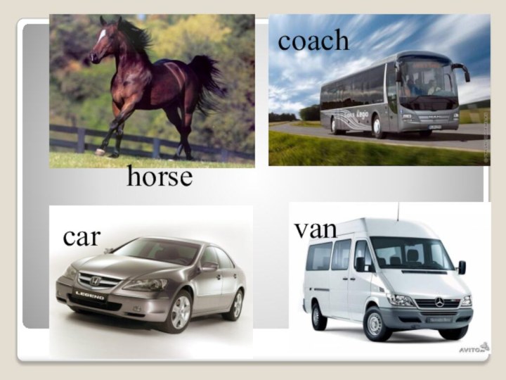 horsecoachcarvan
