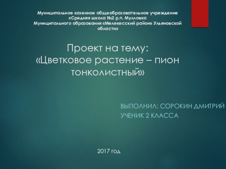 Муниципальное казенное общеобразовательное учреждение  «Средняя школа