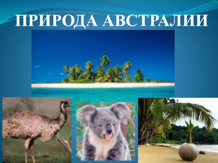 ПРИРОДА АВСТРАЛИИ