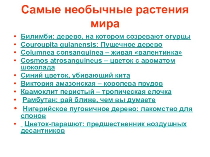 Самые необычные растения мираБилимби: дерево, на котором созревают огурцы Couroupita guianensis: Пушечное