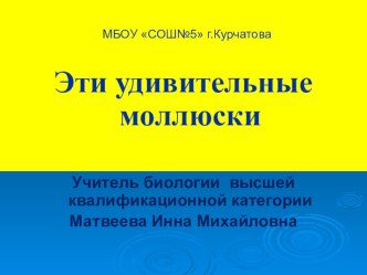 Презентация по биологии на темуЭти удивительные моллюски