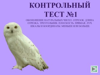 Контрольный тест №1: Обозначение натуральных чисел. Отрезок. Длина отрезка. Треугольник. Плоскость. Прямая. Луч. Шкалы и координаты. Меньше или больше.