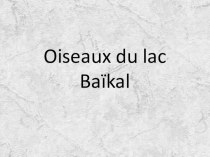 Птицы озера Байкал