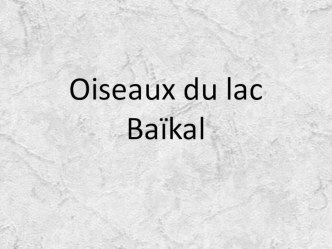 Птицы озера Байкал