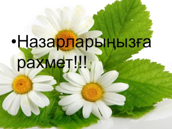 Назарларыңызға рахмет!!!