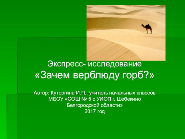 Экспресс- исследование «Зачем верблюду горб?» Автор: Кутергина И.П., учитель начальных классов МБОУ