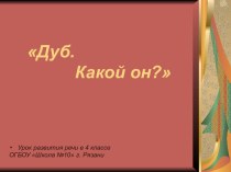 Презентация по развитию речи Дуб. Какой он?