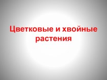 Презентация по окружающему миру на тему Цветковые и хвойные растения