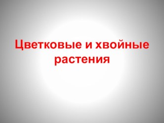 Презентация по окружающему миру на тему Цветковые и хвойные растения