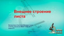 Презентация внешнее строение , 6 класс