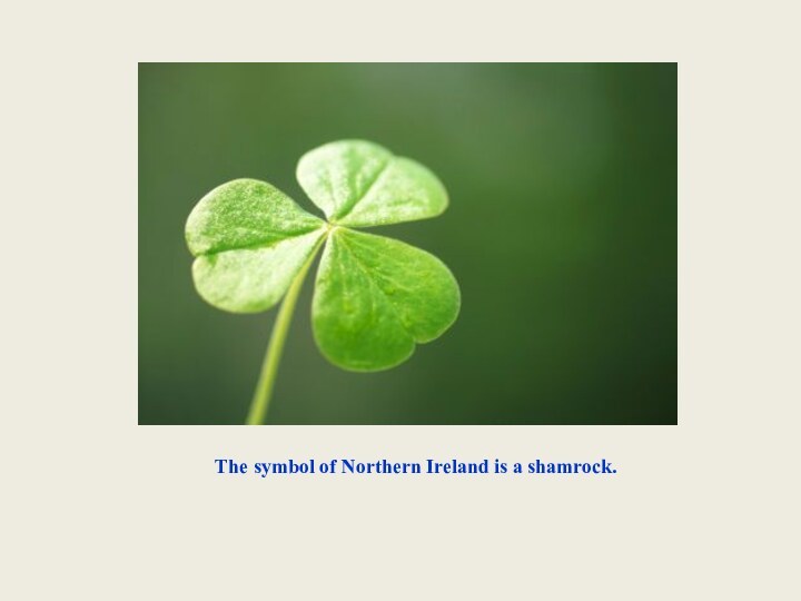 The symbol of Northern Ireland is a shamrock.