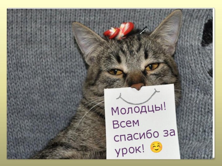 Молодцы! Спасибо за урок! Молодцы! Всем спасибо за урок! ☺