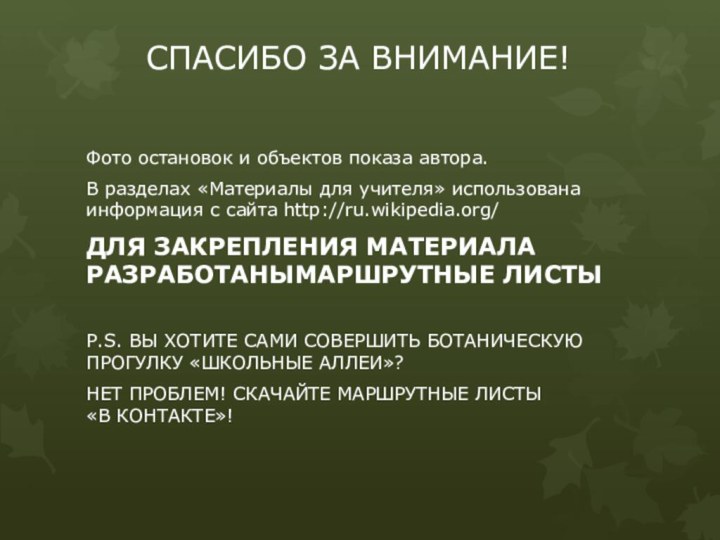 СПАСИБО ЗА ВНИМАНИЕ!Фото остановок и объектов показа автора.В разделах «Материалы для учителя»