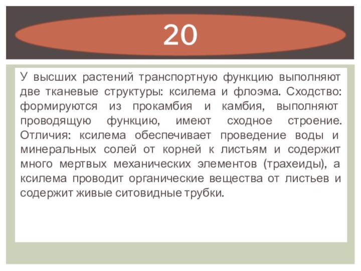 У высших растений транспортную функцию выполняют две тканевые структуры: ксилема и флоэма.