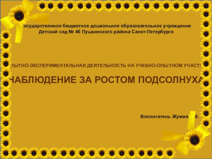 Государственное бюджетное дошкольное образовательное учреждениеДетский сад № 46 Пушкинского района Санкт-ПетербургаОПЫТНО-ЭКСПЕРИМЕНТАЛЬНАЯ ДЕЯТЕЛЬНОСТЬ