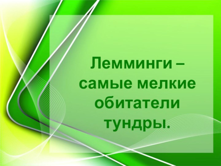 Лемминги – самые мелкие обитатели тундры.