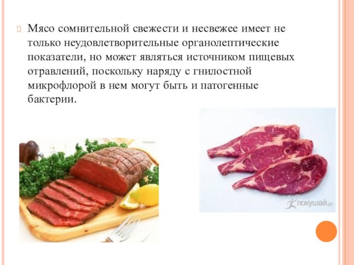 Мясо сомнительной свежести и несвежее имеет не только неудовлетворительные органолептические показатели, но