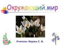 Презентация по окружающему миру на тему:ВеснаюПрирода просыпается!
