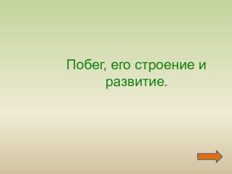 Презентация по биологии на тему Побег