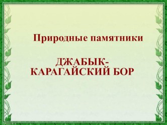 Презентация по географии Памятники природы Челябинской области (8 класс)