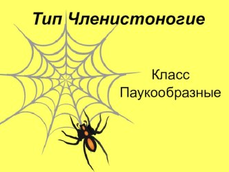 Авторская методическая разработка урока биологии Паукообразные